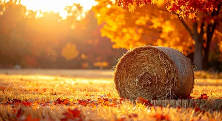 Hay Bale in Golden Autumn Field at Sunset - free photography wallpaper 3960×2160