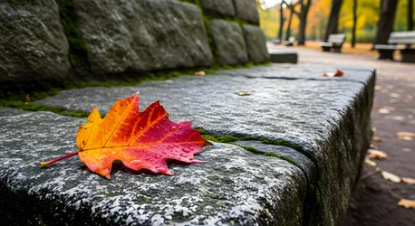 Autumn Maple Leaf on Mossy Stone Ledge - free wallpaper 3960×2160