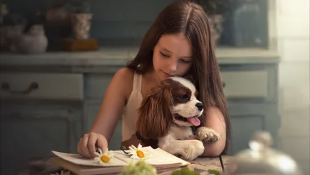 Girl with Spaniel Puppy Reading Together Indoors - free people & portraits wallpaper 3840×2160