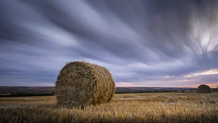 Hay Bales in Harvested Field at Dusk - free landscapes wallpaper 3600×2025