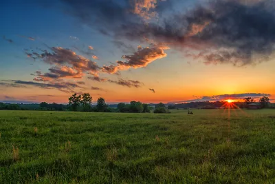Sunset Over Rural Meadow With Trees - free landscapes wallpaper 6192×4128