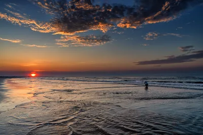 Sunset Beach with Solitary Swimmer - free wallpaper 6192×4128