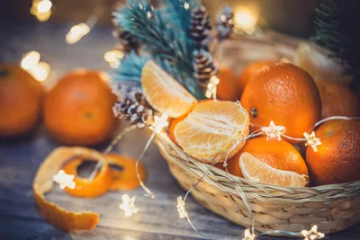 Holiday Citrus Arrangement With Festive Lights - free wallpaper 2560×1706