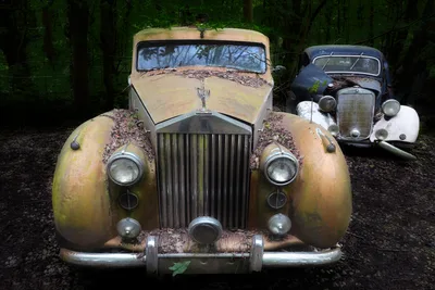 Abandoned Vintage Rolls-Royce Cars in Forest - free retro & vintage wallpaper 6144×4096