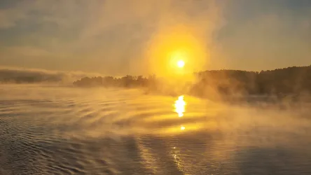 Misty Lake Sunrise with Golden Sun and Forest Silhouettes - free landscapes wallpaper 7680×4320