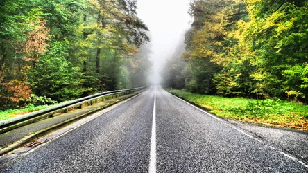 Straight Road Through Autumn Forest With Mist - free nature wallpaper 4608×2592