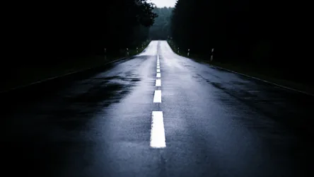 Wet Road Stretching Into Dark Forest Vanishing Point - free photography wallpaper 1920×1080