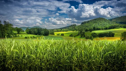 Rolling Green Agricultural Landscape with Mountains - free landscapes wallpaper 3840×2160