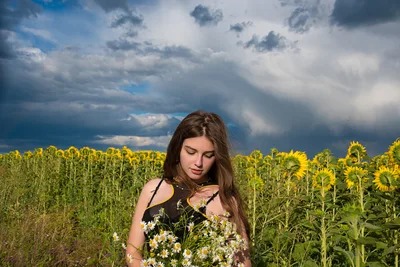 Girl In Sunflower Field With Stormy Sky - free wallpaper 2048×1365