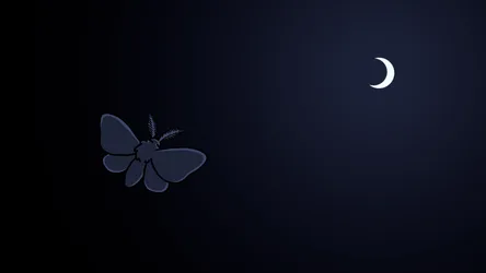 Moth Under the Crescent Moon - free dark wallpaper 3840×2160