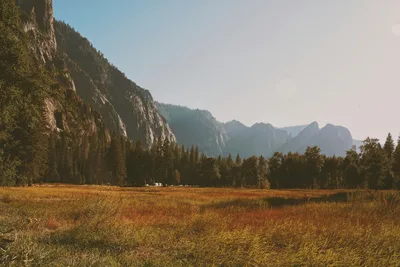 Yosemite Valley Golden Meadow and Mountain Cliffs - free nature wallpaper 4000×2668