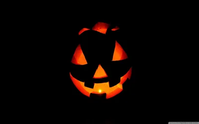 Jack O' Lantern Halloween Pumpkin - free wallpaper 2560×1600