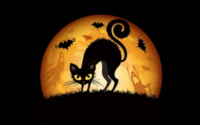 Halloween Black Cat Under the Moon - free dark wallpaper 1920×1200