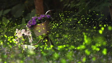 Bicycle Basket With Purple Flowers Among Fireflies - free landscapes wallpaper 3840×2160
