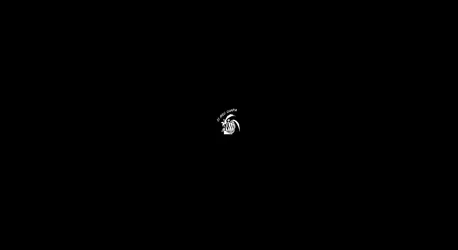 O Rei Chapa Creepy Badger Cartoon Wallpaper - free dark wallpaper 1980×1080