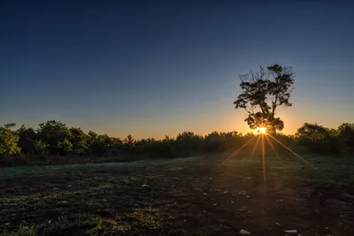 Sunrise Behind Solitary Tree in African Savanna - free landscapes wallpaper 7680×5120