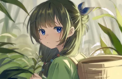 Anime Girl with Plants in Sunlit Room - free wallpaper 2426×1579