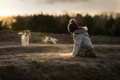 Child Playing With Dogs on Rural Dirt Field - free people & portraits wallpaper 2048×1365
