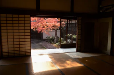 Japanese Interior with Autumn Garden View - free photography wallpaper 2048×1356
