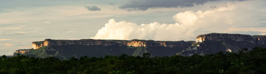 Sunlit Mountain Cliffs Over Rainforest Canopy - free wallpaper 7680×2160