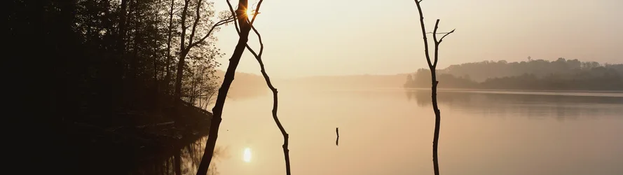 Morning Mist on the Lake - free wallpaper 3840×1080