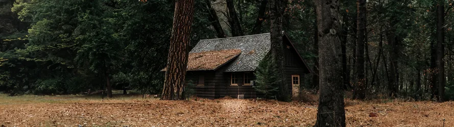 Secluded Forest Cabin Among Towering Trees - free landscapes wallpaper 5120×1440