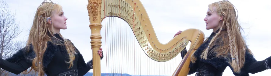 Harp Twins in Black with Golden Harps - free wallpaper 3840×1080