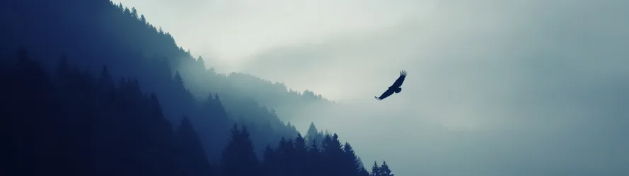 Eagle Soaring Over Misty Mountain Forest - free wallpaper 3840×1080