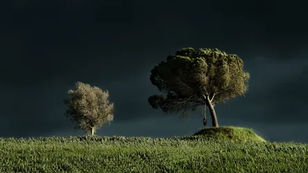 Two Trees in a Green Field Under Dark Sky - free wallpaper 1920×1080