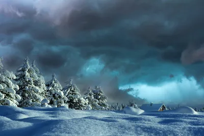 Snow-Covered Forest Landscape with Dramatic Storm Clouds - free landscapes wallpaper 1920×1279