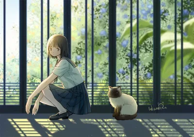 Girl and Cat by Sunny Window with Flowering Vines - free animals wallpaper 1920×1360