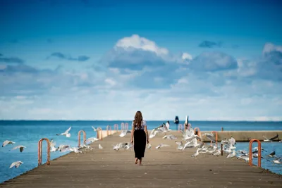 Girl on Pier with Seagulls by the Sea - free wallpaper 7680×5127