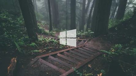Windows 10 Logo in Misty Forest with Stairs - free nature wallpaper 2560×1440