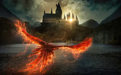 Harry Potter and the Phoenix of Hogwarts - free fantasy wallpaper 5120×3187