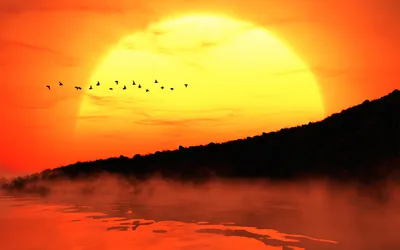 Migration at Sunset - free wallpaper 2560×1600