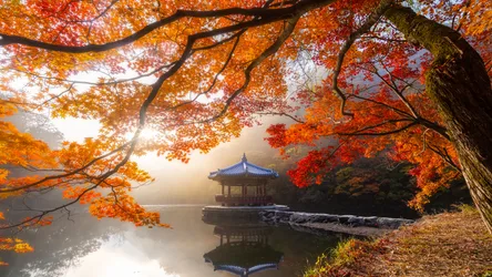 Autumn Pagoda Reflection at Naejangsan National Park - free landscapes wallpaper 3840×2160