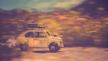 Little Car and Snail Journey Through Desert Landscape - free animals wallpaper 1920×1079