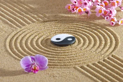 Zen Garden with Yin Yang Stone and Pink Orchids in Sand - free photography wallpaper 4256×2832