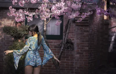 Asian Girl in Spring, Posed Under Blooming Jacaranda Flowers - free people & portraits wallpaper 2399×1533