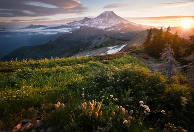 Alpine Meadow at Sunset with Snow-Capped Mountain Peak - free landscapes wallpaper 3840×2621
