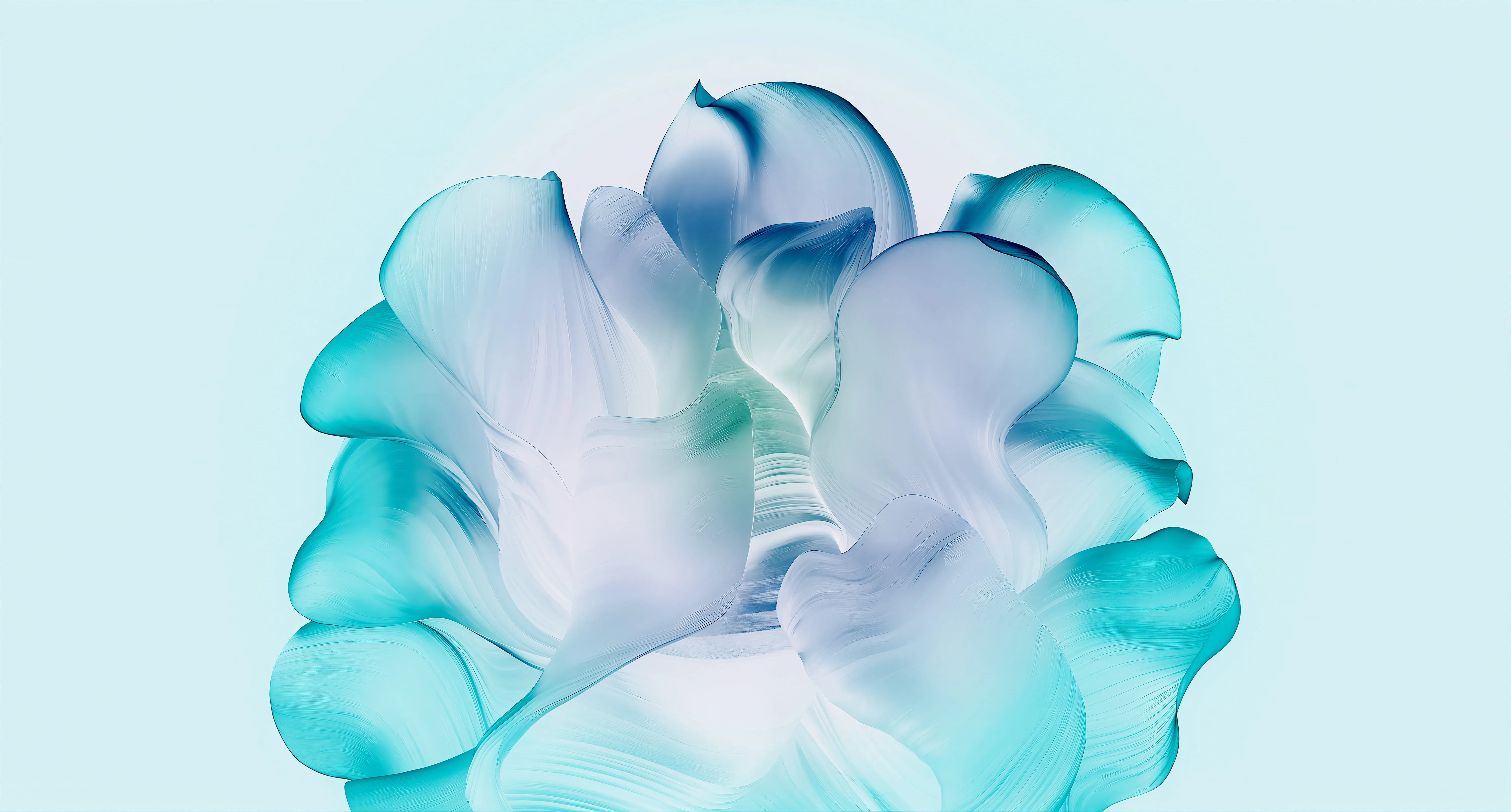 Windows 11 Bloom