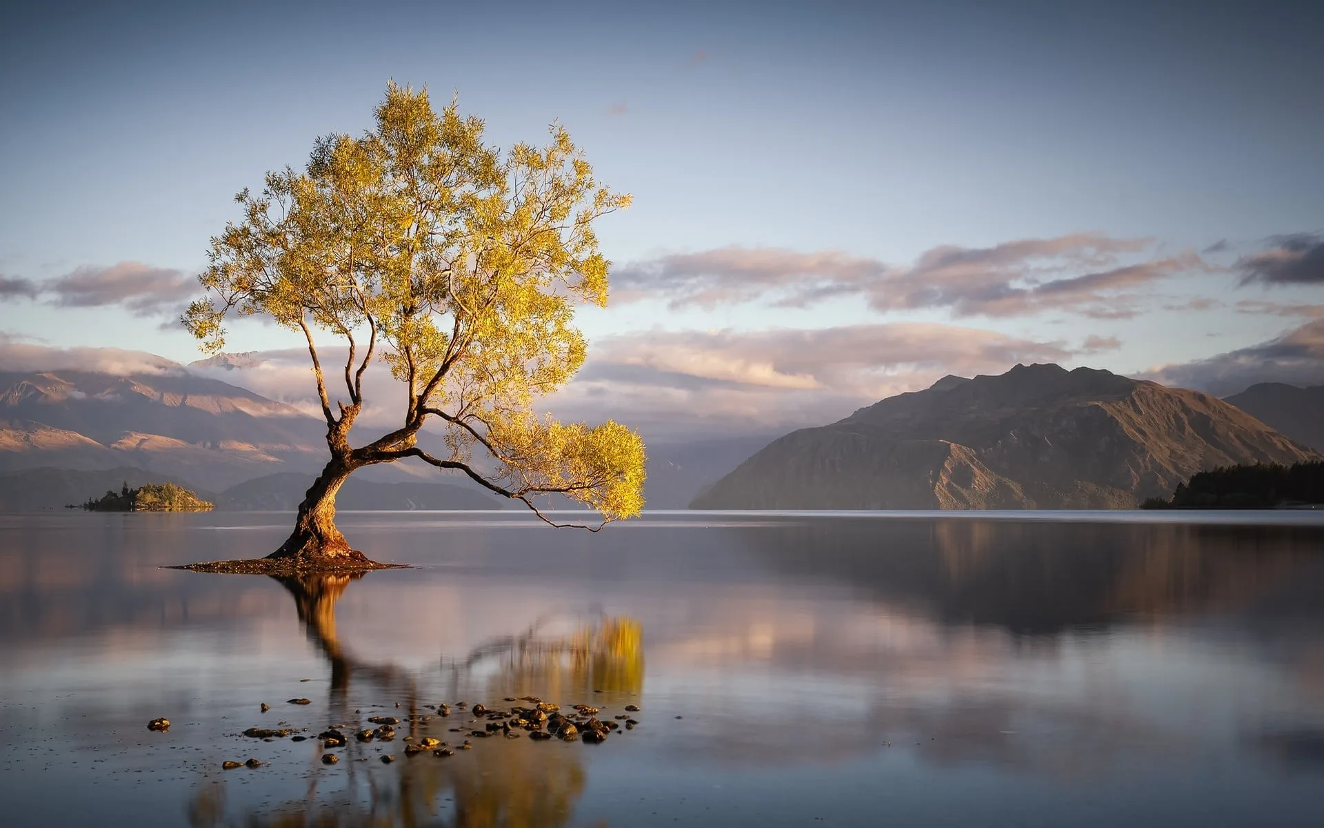 Mountain Lake Reflection Among Green Trees